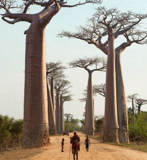 Keindahan Madagaskar